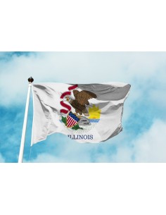 Bandiera Illinois