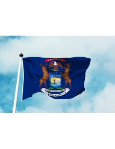 Bandiera Michigan