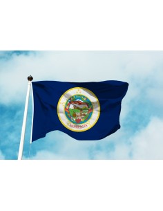 Bandiera Minnesota