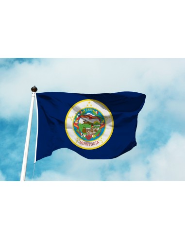 Bandiera Minnesota