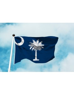 Bandiera Carolina del Sud