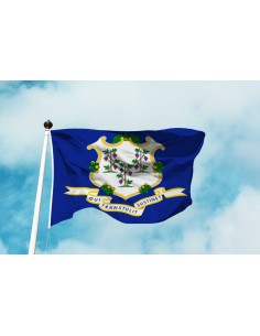 Bandiera Connecticut