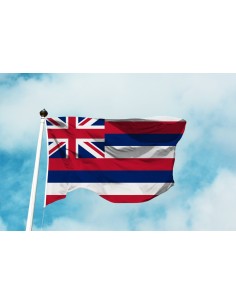 Bandiera Hawaii