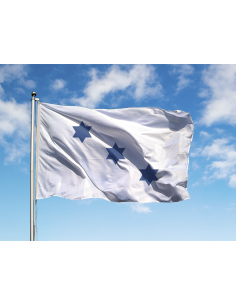 Bandiera Distintiva Ambasciatore