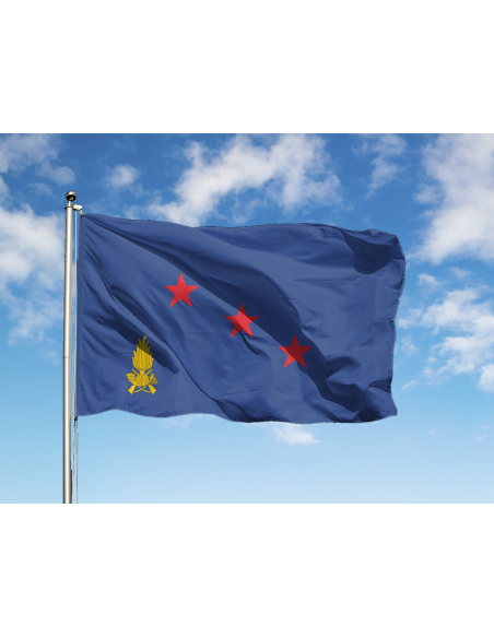 Bandiera Generale Corpo D'Armata G.D.F.