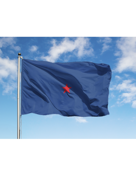 Bandiera Generale di Brigata Aerea