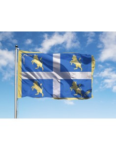 Bandiera Comune di Torino