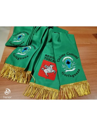 Fascia Presidente Comunità Montana