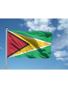 Bandiera Guyana
