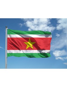 Bandiera Surinami