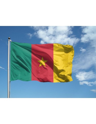 Bandiera Camerun